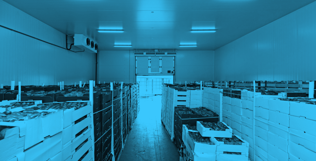 Stacks of produce crates are organized in rows inside a large refrigerated storage room with bright ceiling lights and an open door at the far end.