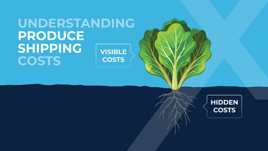 Illustration of lettuce with visible leaves above ground labeled Visible Costs, and roots below ground labeled Hidden Costs, representing shipping costs. Text: Understanding Produce Shipping Costs.