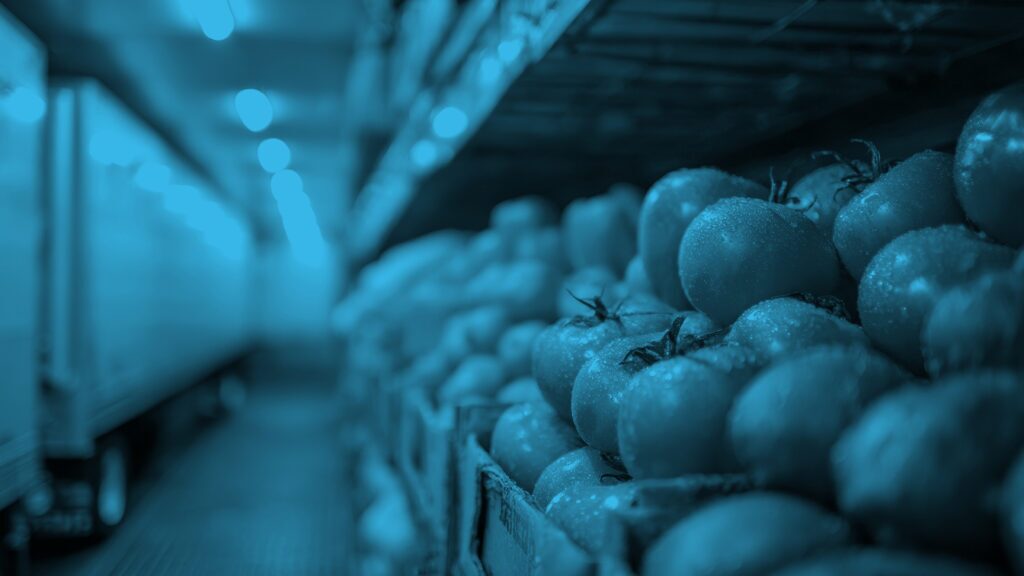 Close-up view of fresh tomatoes stacked in crates on a shelf, with a blurred background of more produce and shelves, all tinted in a blue color filter.