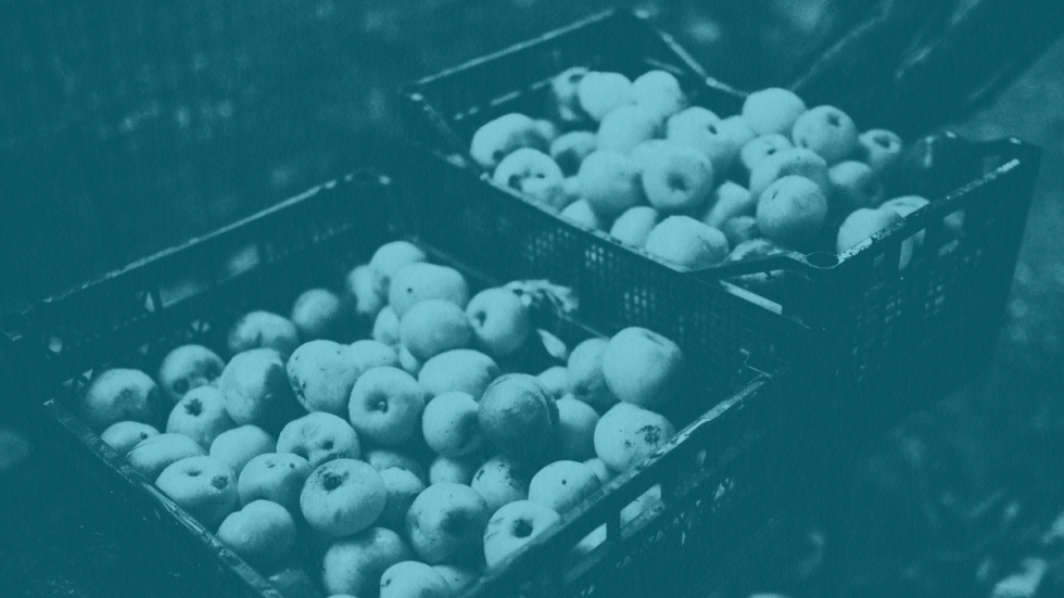 Apples in shipping crates.