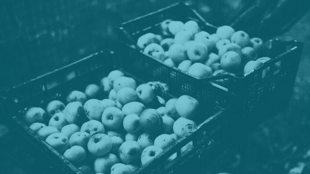 Apples in shipping crates.